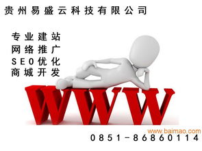 主流的网站建设信息与可信服务指南