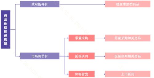 全球创新药定价模式解析 信息咨询服务概览