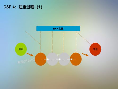 信息系统项目咨询方法论 提升信息咨询服务效能的关键
